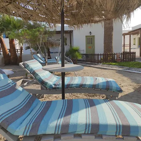 Palm Apartment